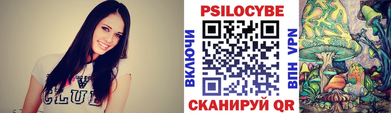 сколько стоит  Бодайбо  omg ТОР  Галлюциногенные грибы Psilocybine cubensis 