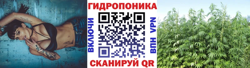 Конопля AK-47  Бодайбо 